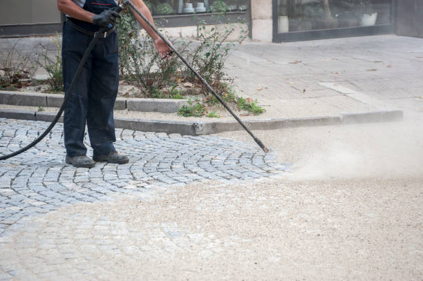 Best Dumpster Area Cleaning  in Molalla, OR