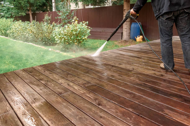 Best Soft Washing  in Molalla, OR