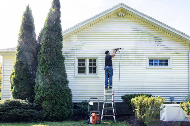 Trusted Molalla, OR  Pressure Washing Services Experts